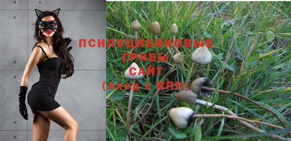 МДМА Вяземский