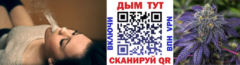shop как зайти где купить Гвардейск Каннабис LSD WEED